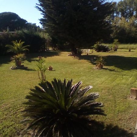 Mamena Bed & Breakfast Paestum Exterior photo