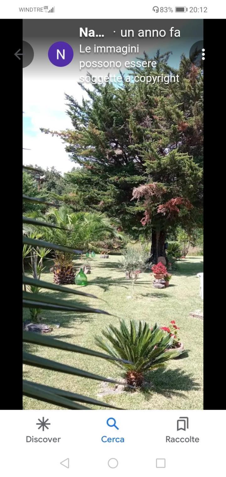 Mamena Bed & Breakfast Paestum Exterior photo