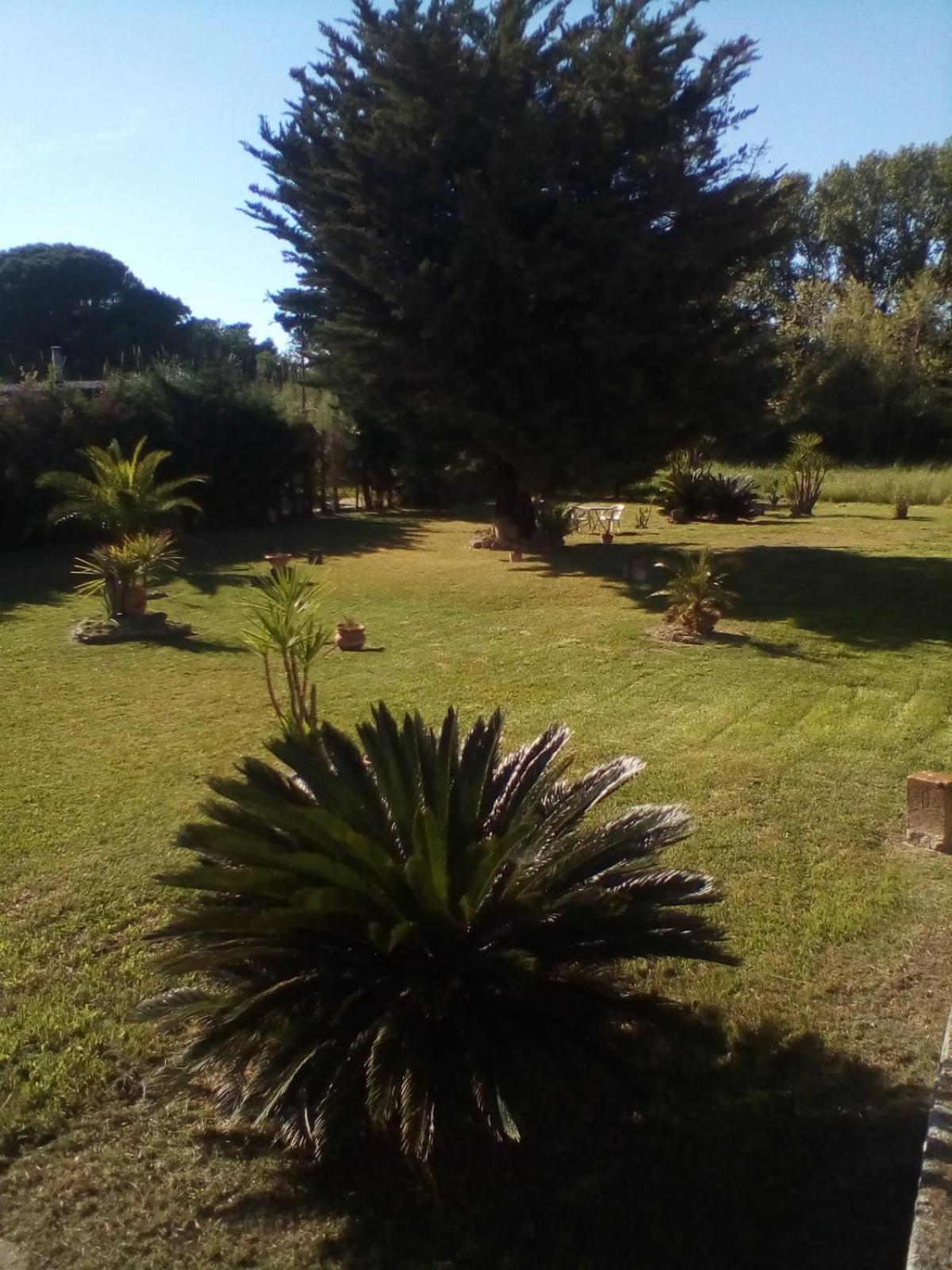 Mamena Bed & Breakfast Paestum Exterior photo